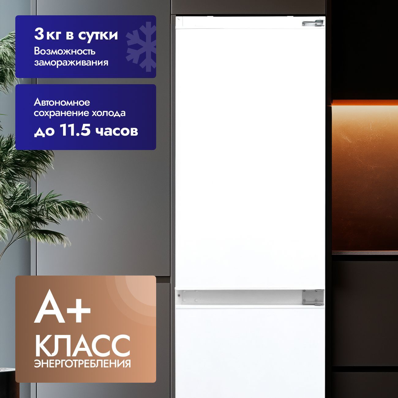 Встраиваемый холодильник с мор. Камерой DELVENTO VBW36420