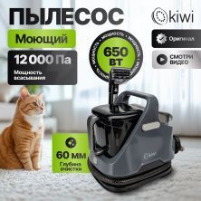 Моющий пылесос KIWI KCC-4320B для химчистки ковров, мягкой мебели, салона авто, мягких игрушек, для всех видов загрязнений