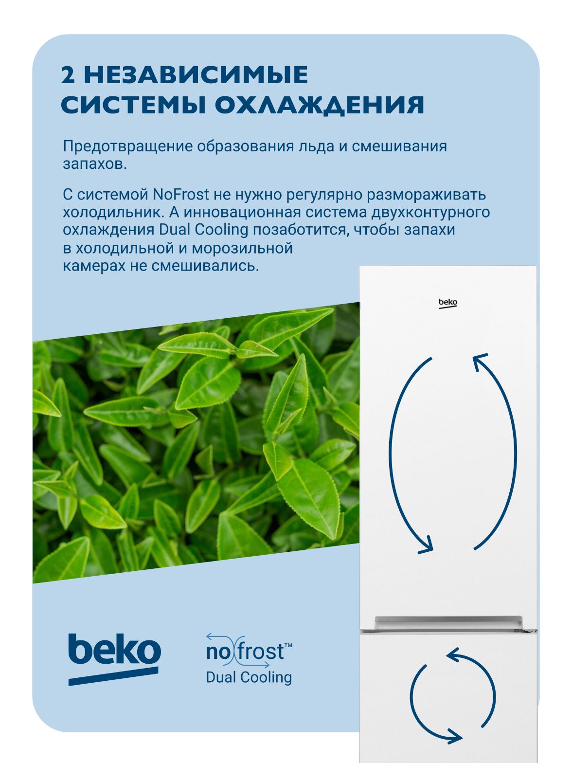 Холодильник с нижней морозильной камерой BEKO RCNK310KC0W