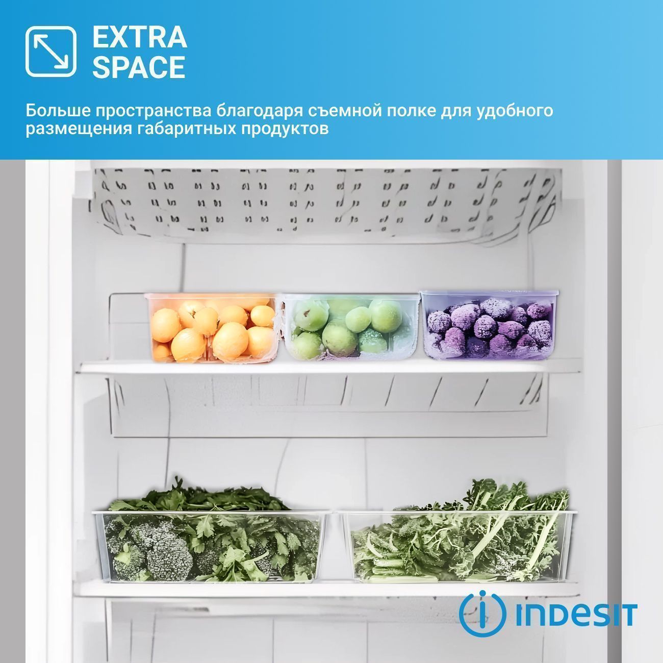 Морозильная камера Indesit DSZ 5175 G