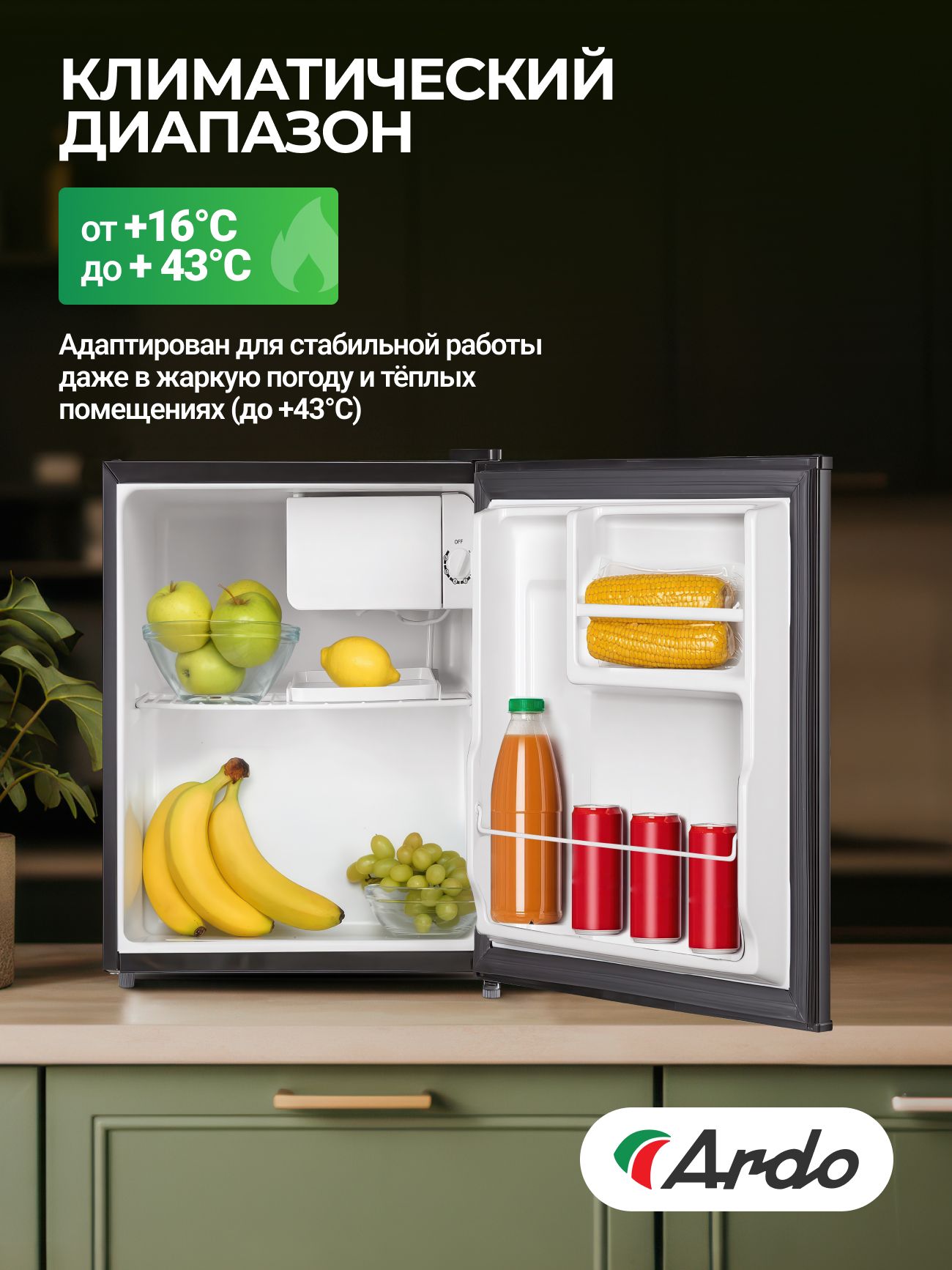 Холодильник однокамерный Ardo REA24745B2 43 л, Класс A+, полки из закаленного стекла