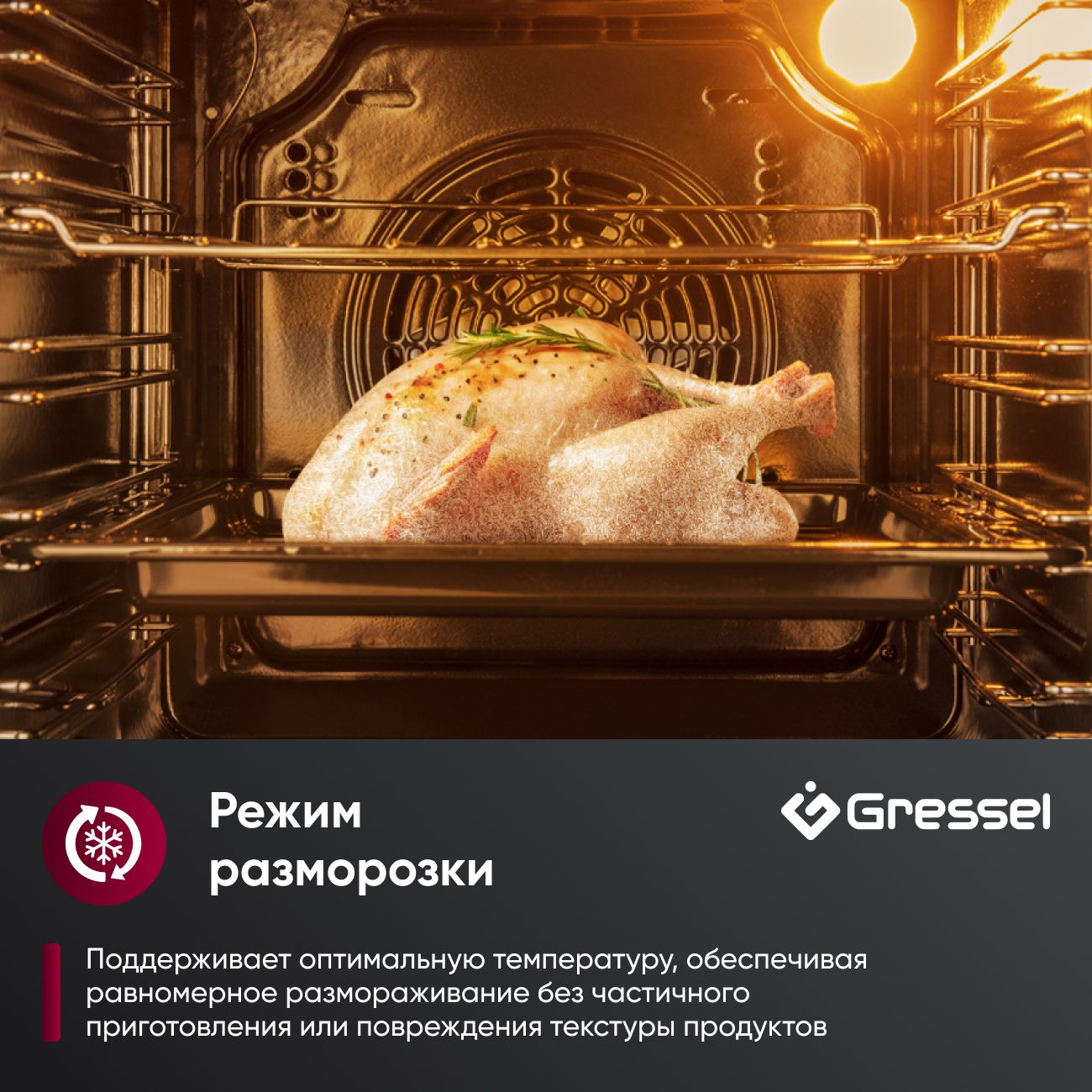 Встраиваемый духовой шкаф Gressel U6ES69000 60 см, 70 л, 10 режимов, двойной ГРИЛЬ, разморозка, конвекция, утапливаемые ручки, таймер + противень WELLFRY