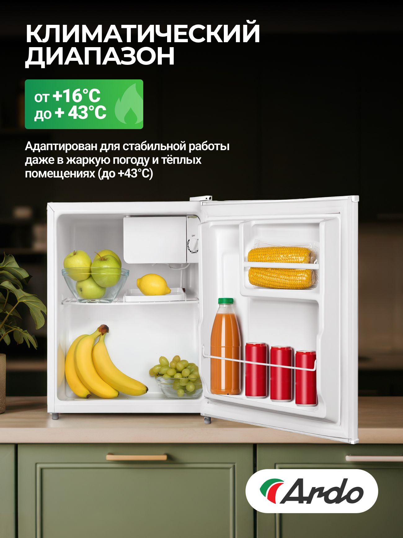 Холодильник Ardo REA24745W2, 43л, класс энергоэффективности А+, тихий 41 дБ