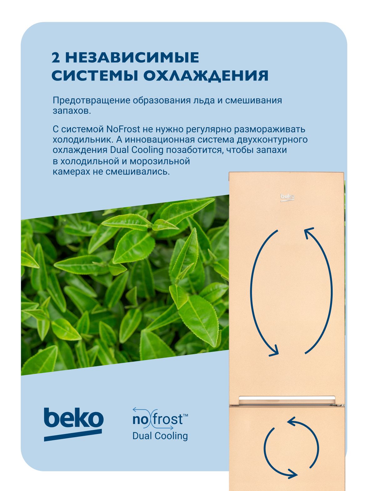 Холодильник с нижней морозильной камерой BEKO RCNK335K20SB