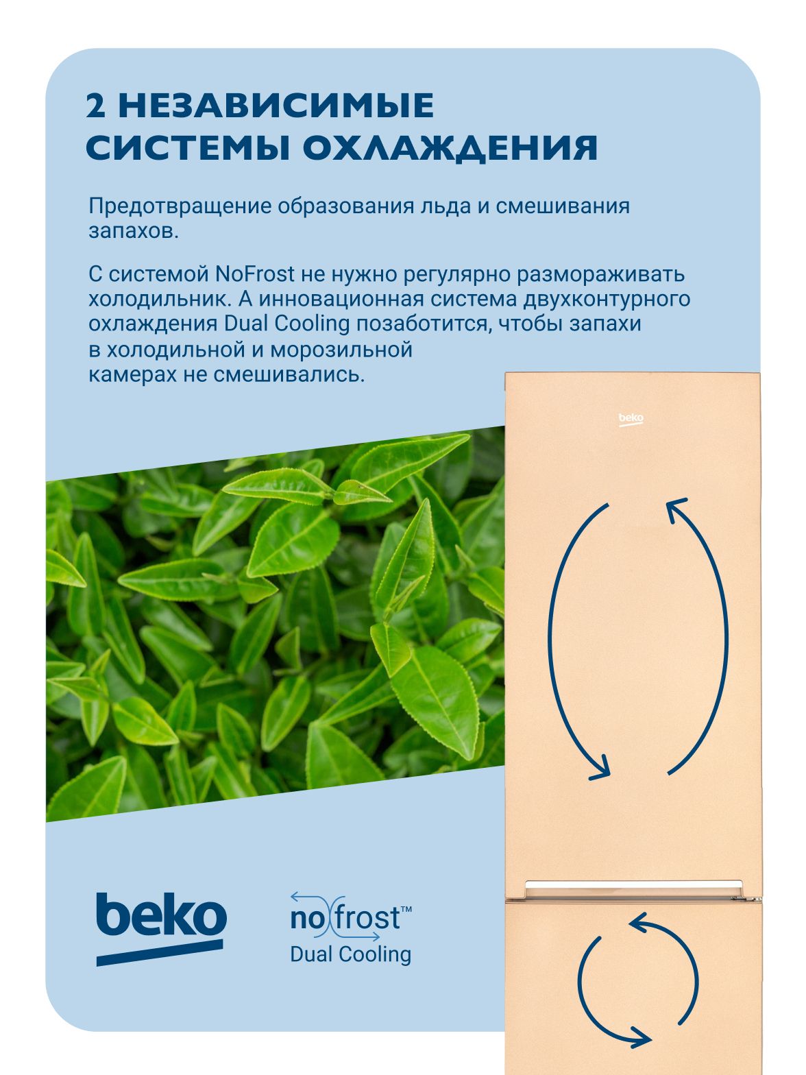 Холодильник с нижней морозильной камерой BEKO RCNK310KC0SB