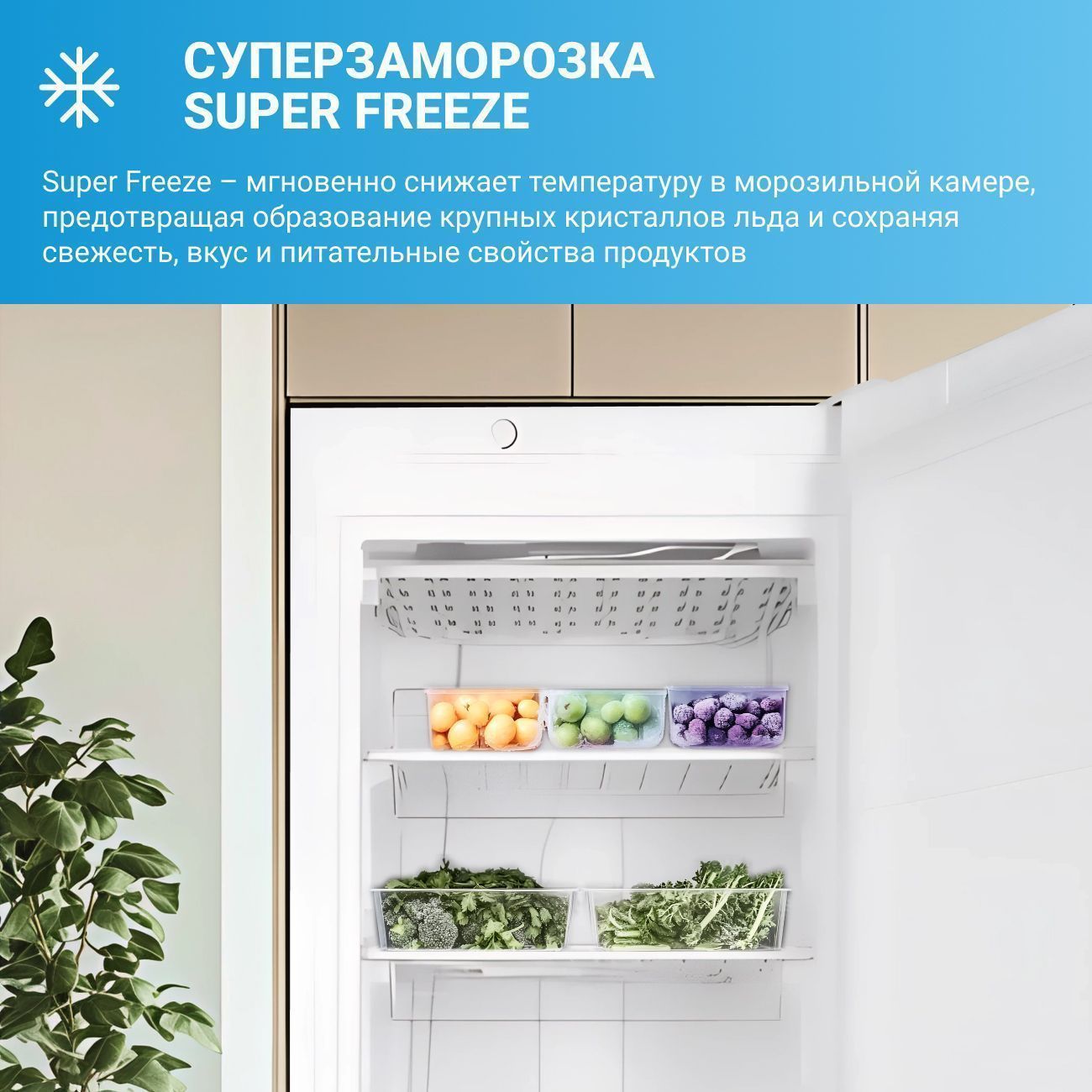 Морозильная камера Indesit DSZ 5175