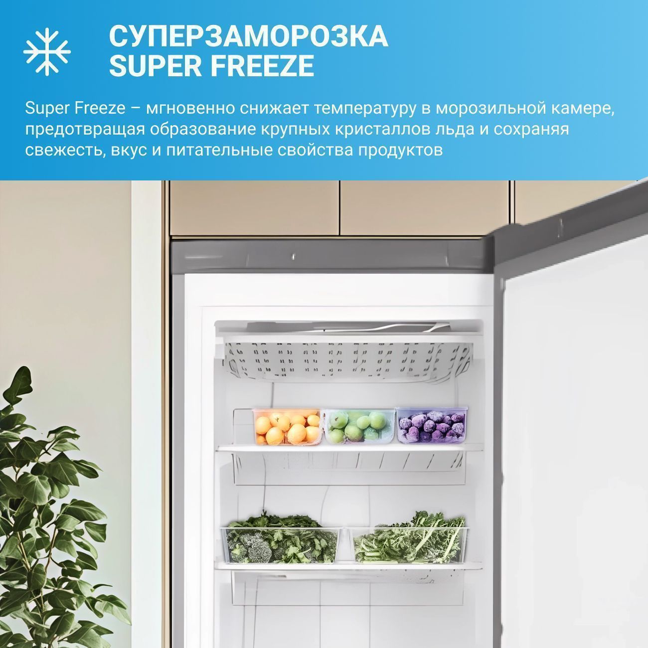 Морозильная камера Indesit DSZ 5175 G